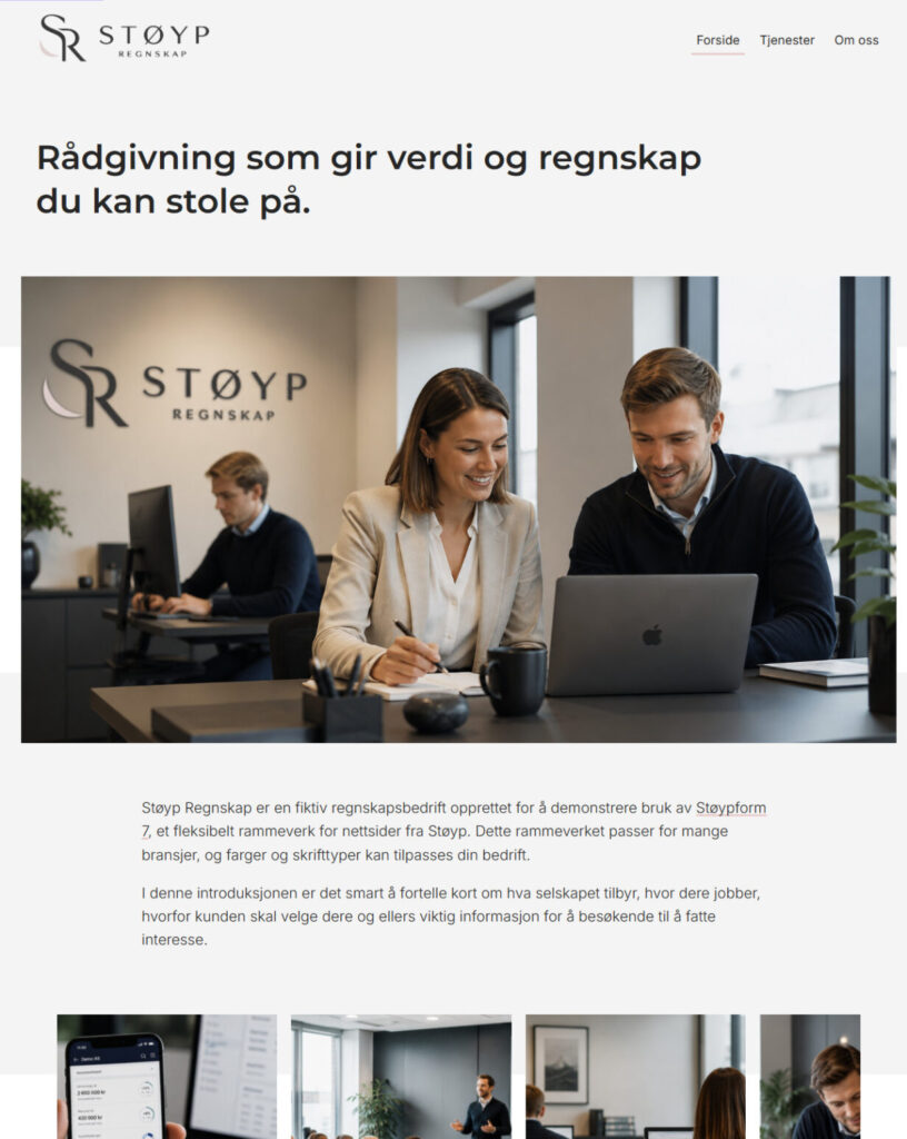 Utklipp av nettsidemal til regnskapsbransjen