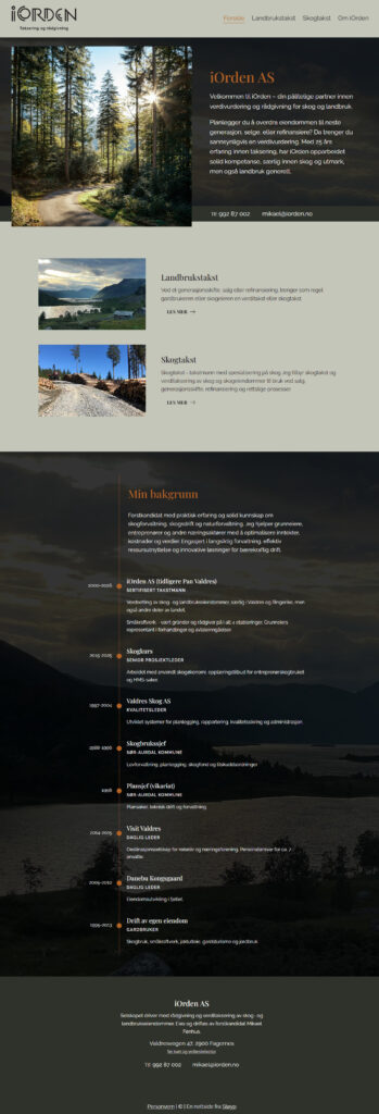 Mockup av referansenettside, iorden